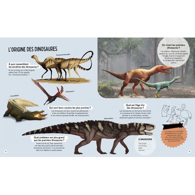 Livre Questions Réponses Tous les dinosaures
