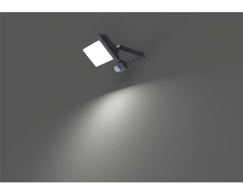 LED-sensorwandlamp IP44 30W 4950 lm 4000 K neutraal wit, netsnoer 3G1,0 mm² H05RN-F 0,3 m + snelsluiting, afmetingen (B x D x H): 153 x 65 x 191 mm