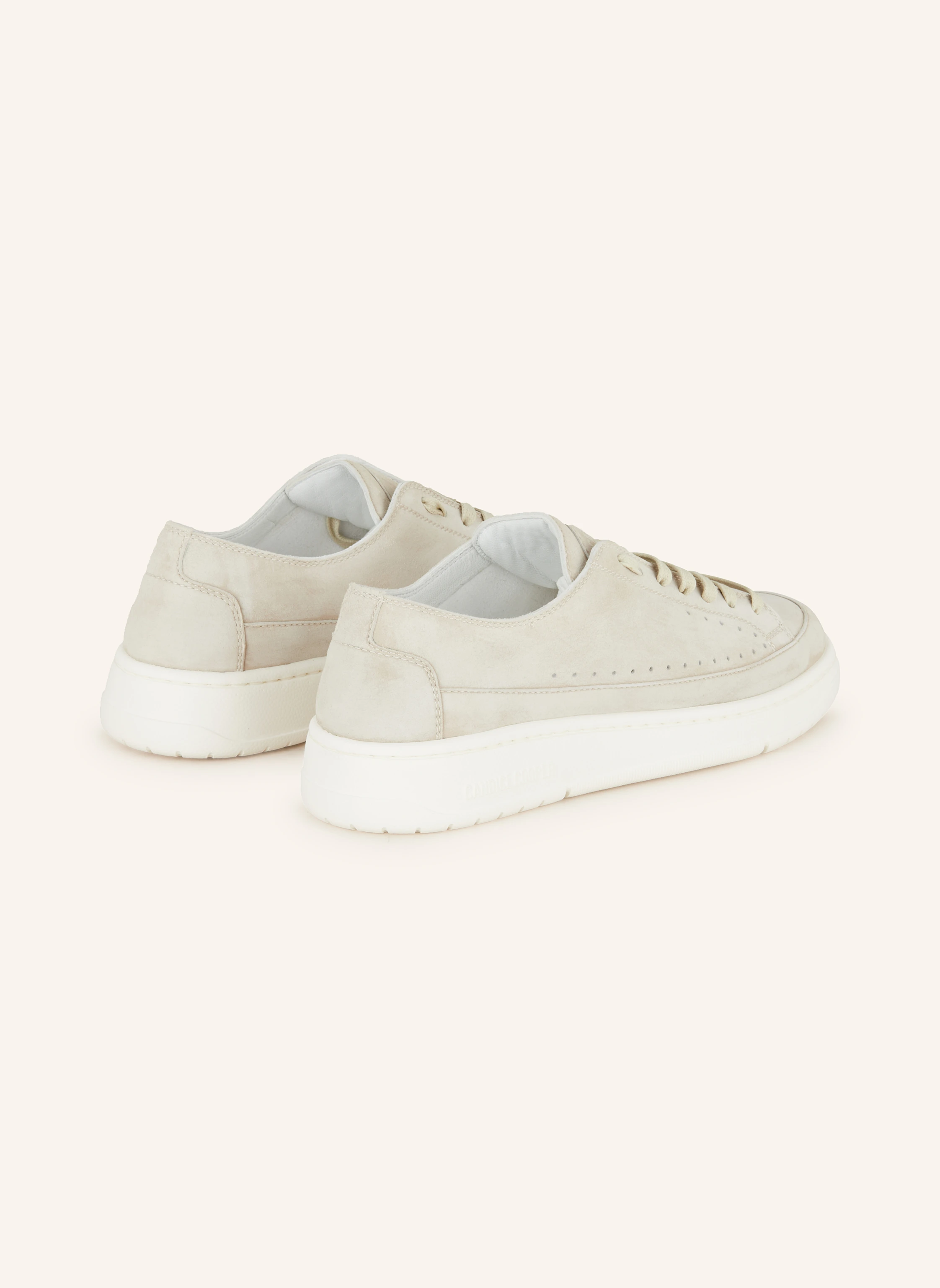 Candice Cooper Sneaker TEA