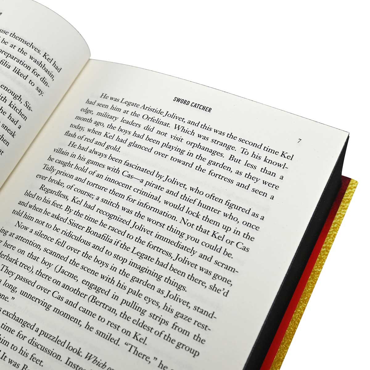 Sword Catcher: Exclusive Edition (Hardback)