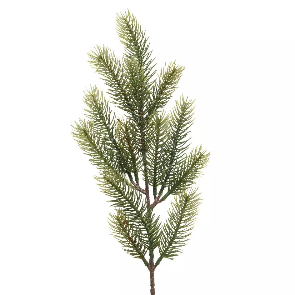 Branche de sapin (52 cm) Omorika Vert
