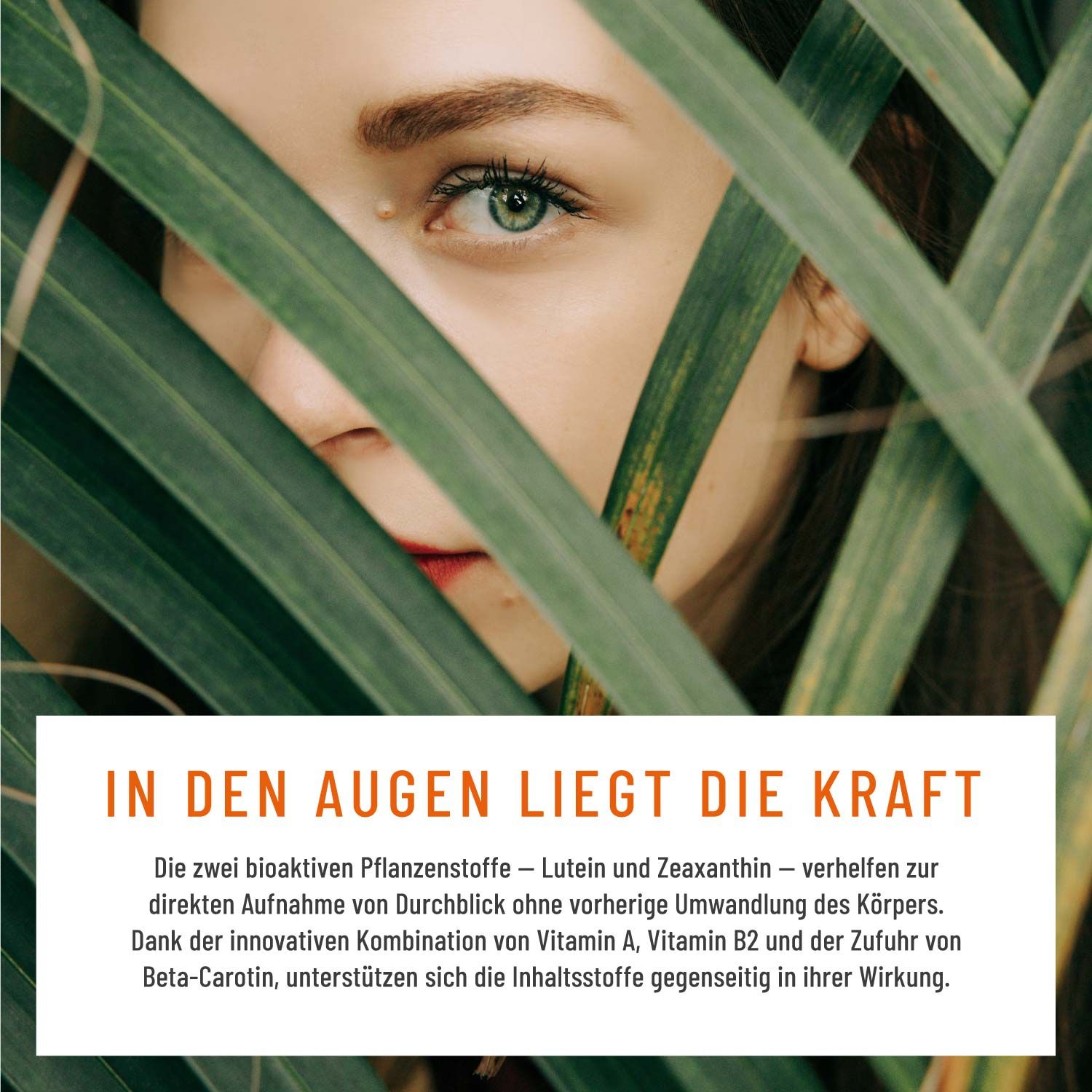 Augenvitamine - Lutein Zeaxanthin Komplex mit Beta Carotin & Vitamin A - Durchblick - NATURTREU®