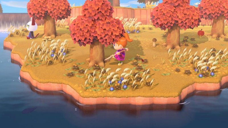 Animal Crossing: New Horizons - Nintendo Switch - Engelstalige hoes