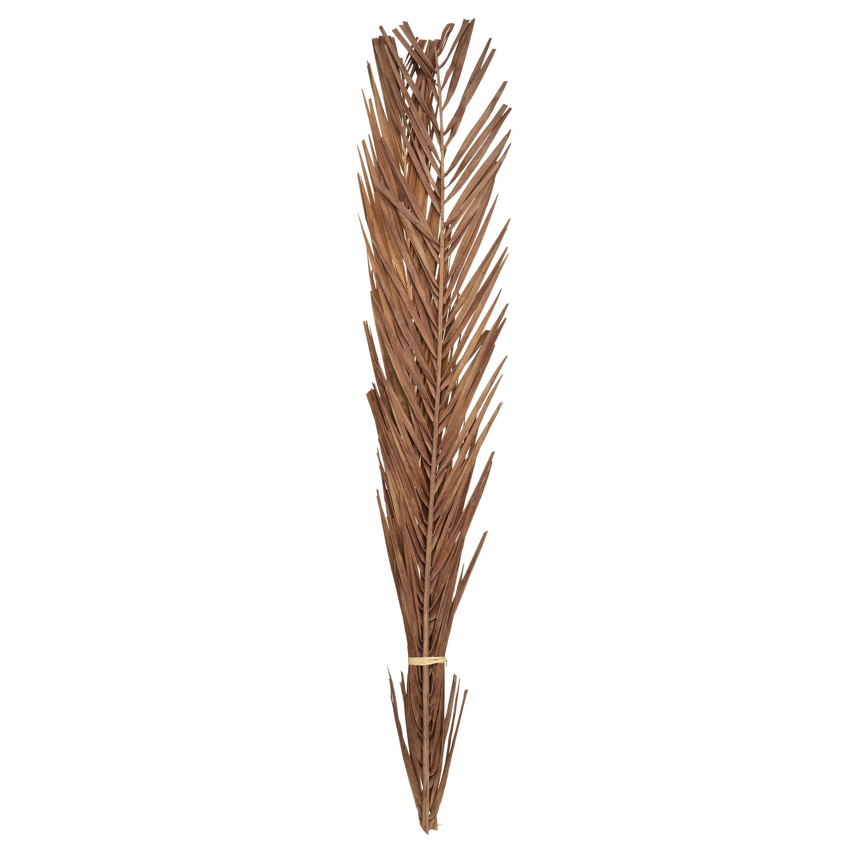 SECHE NATUREL H.100CM