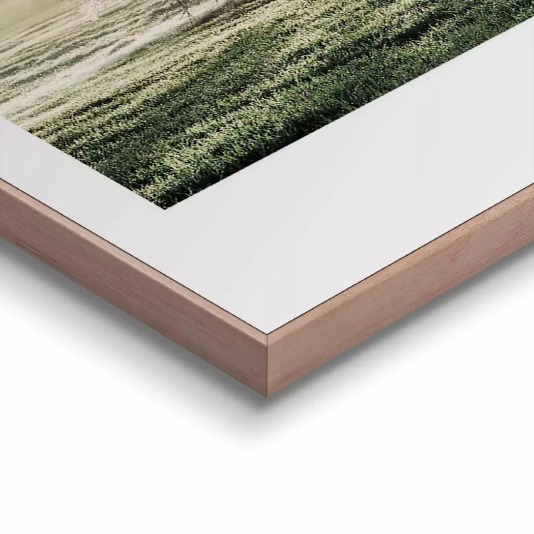 Wandbild 50 x 50 cm Morgensonne