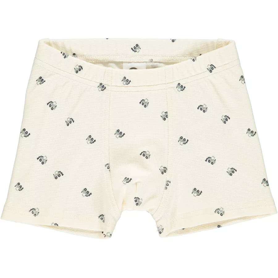 Müsli Unterwäscheset Boxer Buttercreambluegreen