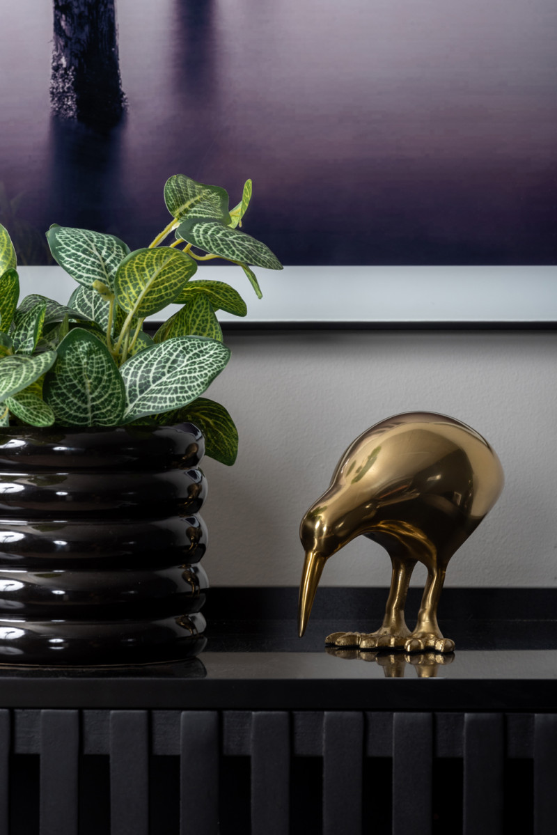 Statue Kiwi Bird PT4019BK Black