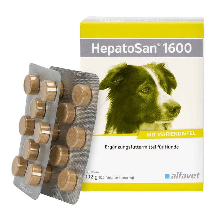 Hepatosan 1600 Tabletten Ergänzungsfuttermittel für Hunde, 120 St