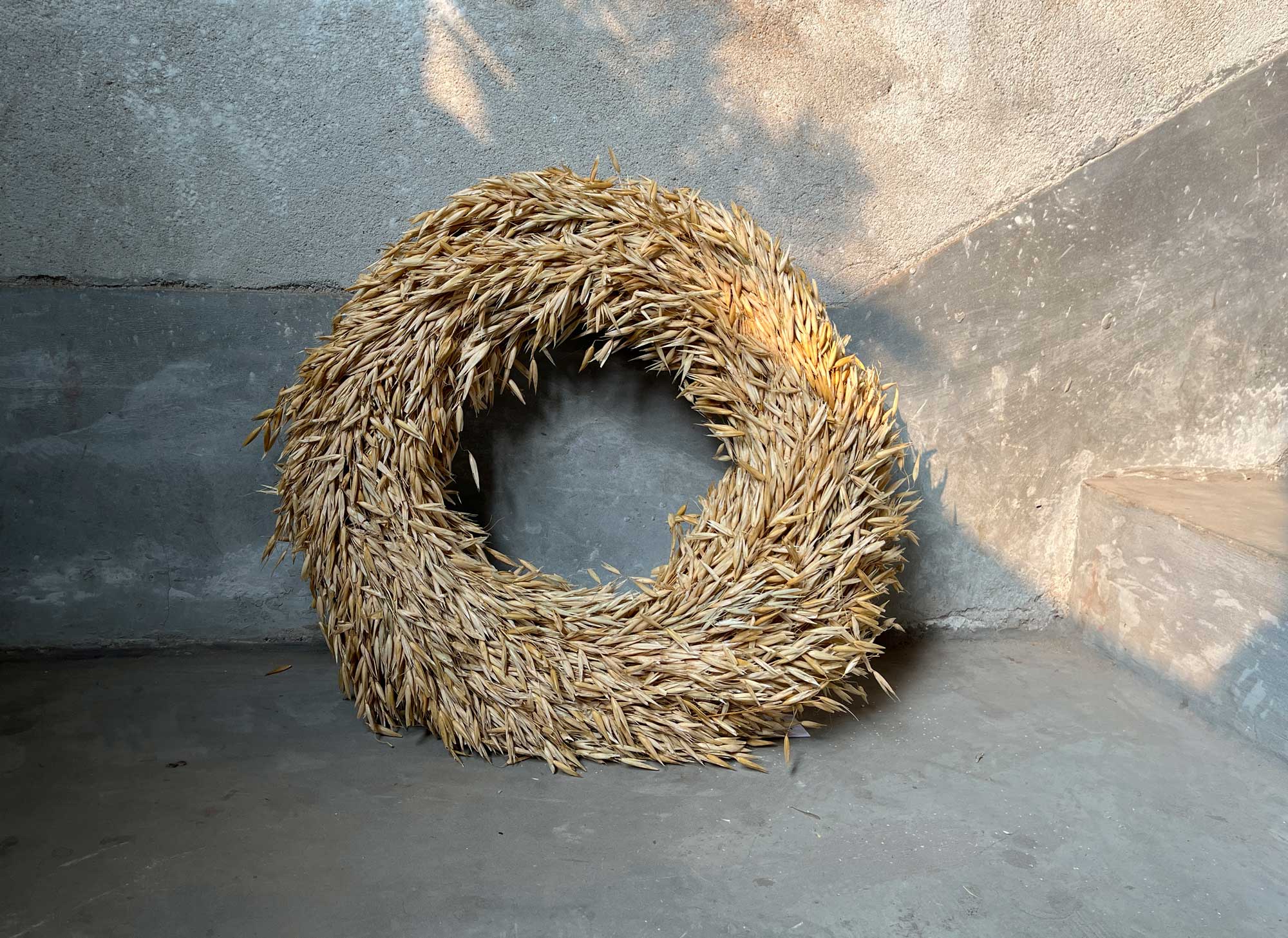 Kranz aus wildem Hafer, Ø 40 cm von fischer's lagerhaus