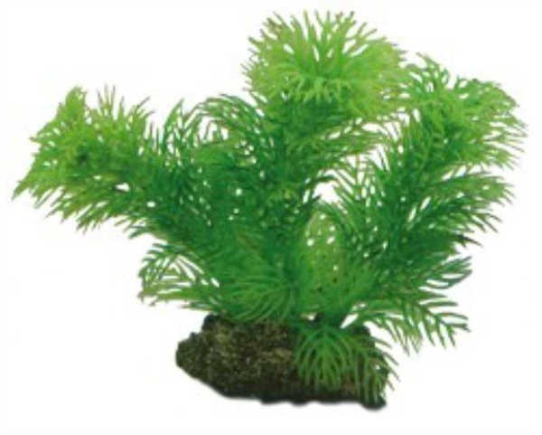 Hobby Plant Egeria 13cm