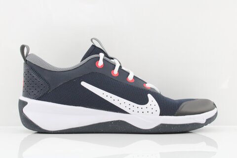 Nike Nike Omni Multi-Court Big Kids