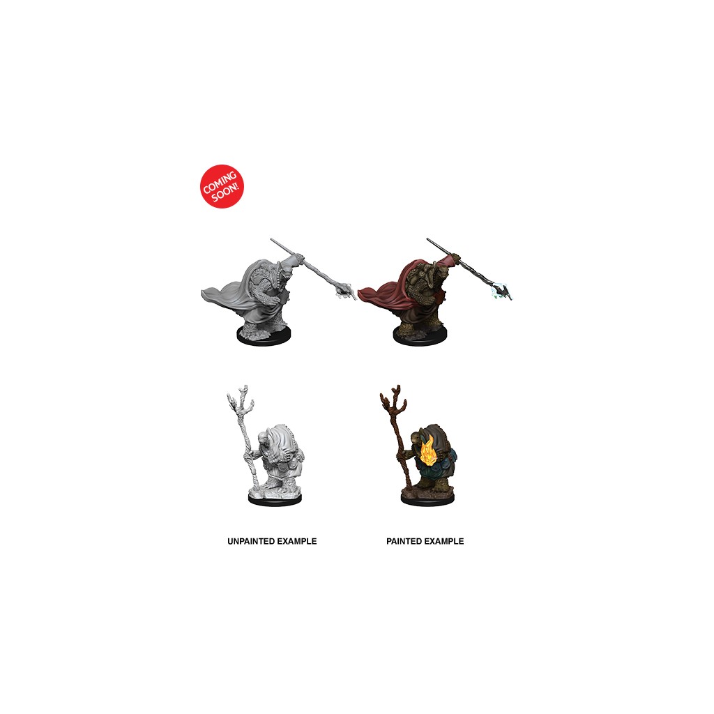 Pathfinder Deepcuts Unpainted Miniatures: Tortles Adventurers