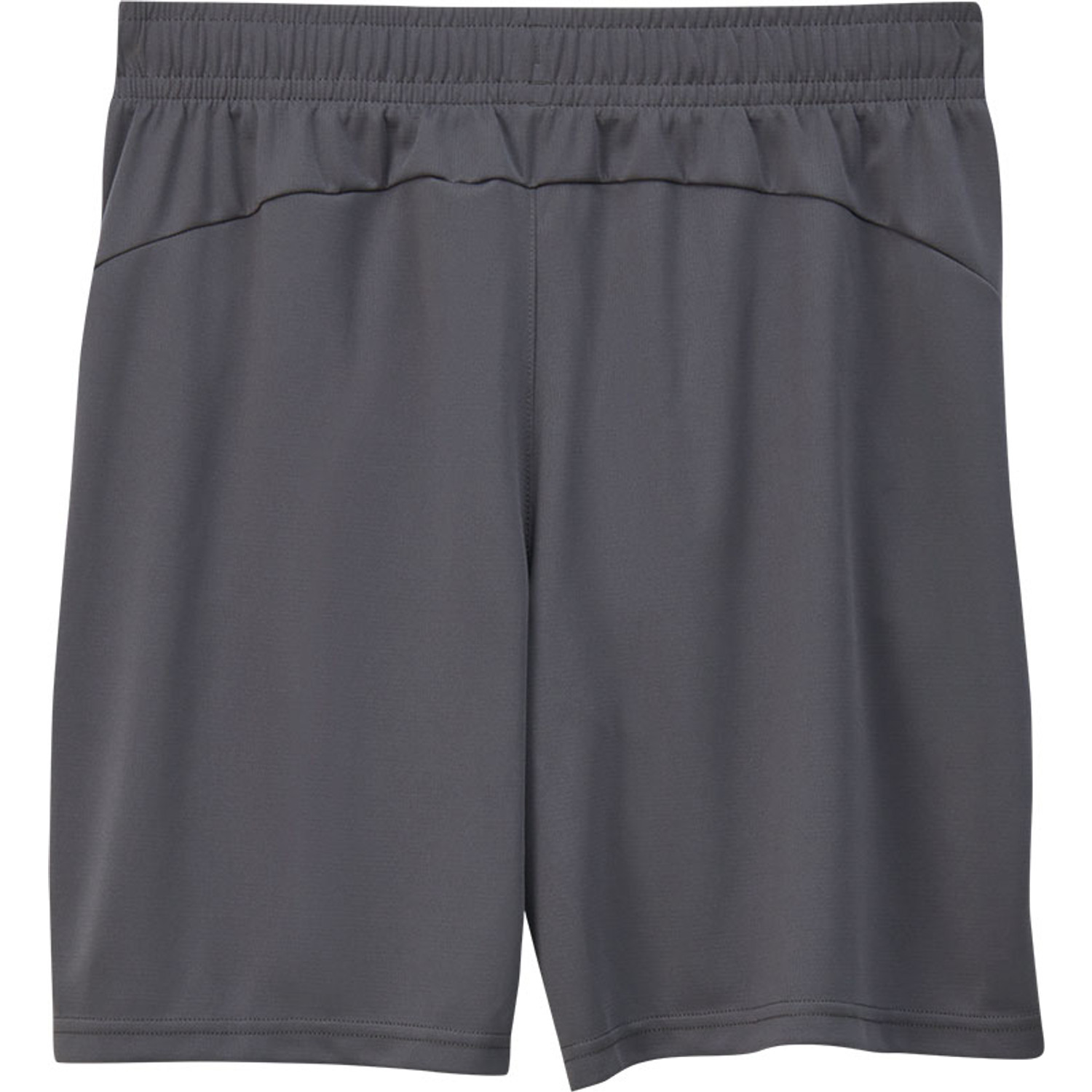 Puma Zwitserland Training Short 2024/2026