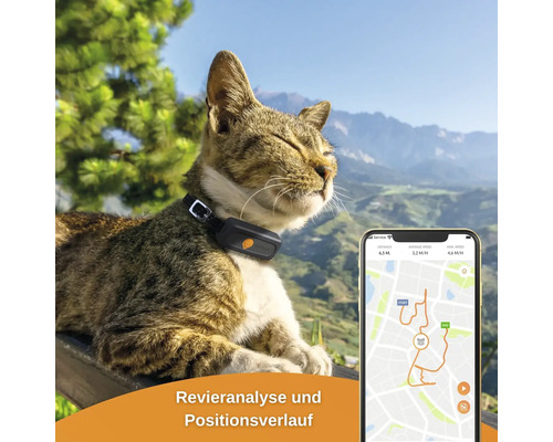 GPS tracker weenect voor katten, 28 g, 6 x 2,4 x 1,5 cm, zwart