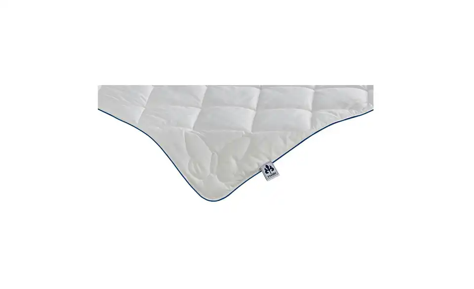 IRISETTE Leicht-Steppbett 220 cm 155 cm 760 g
