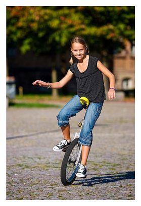 Monocycle Qu-Ax Luxus 20  Chrome