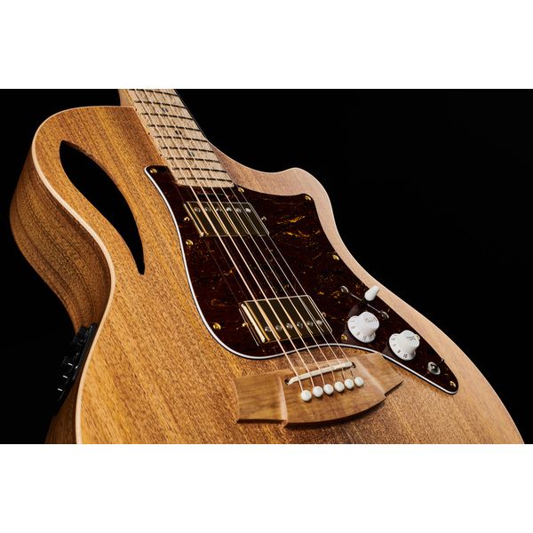 Cole Clark TL2EC-BLBL-HH Thin Line