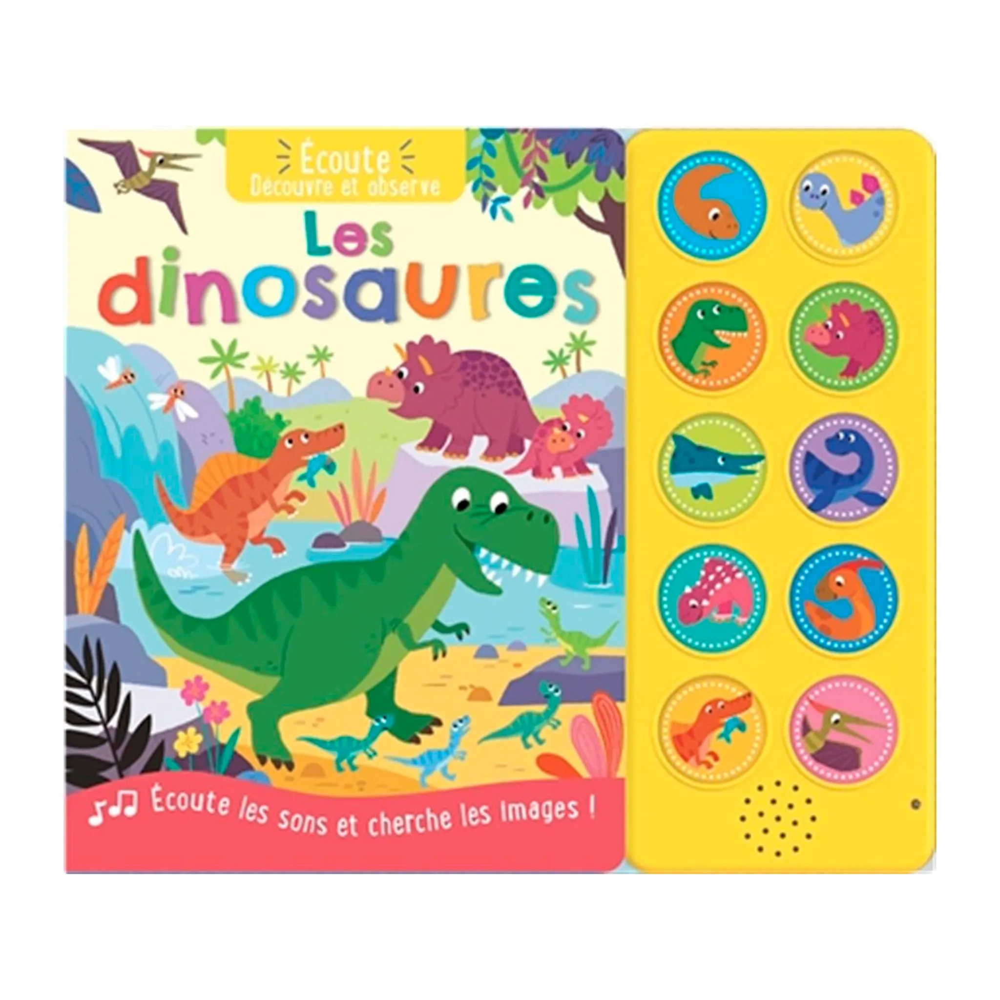 Prologue Les dinosaures - Écoute, découvre et observe
