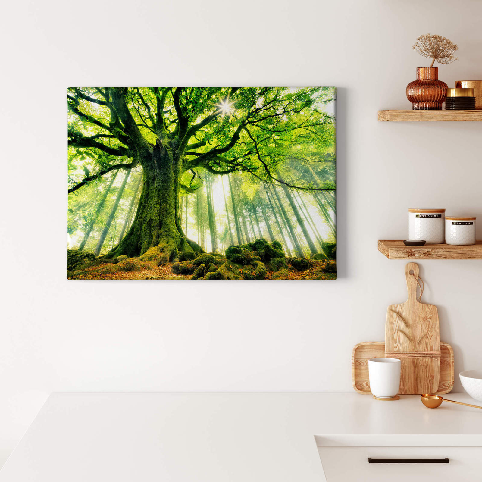 Leinwandbild BAUMKRONE - grün-braun - 70x50 cm