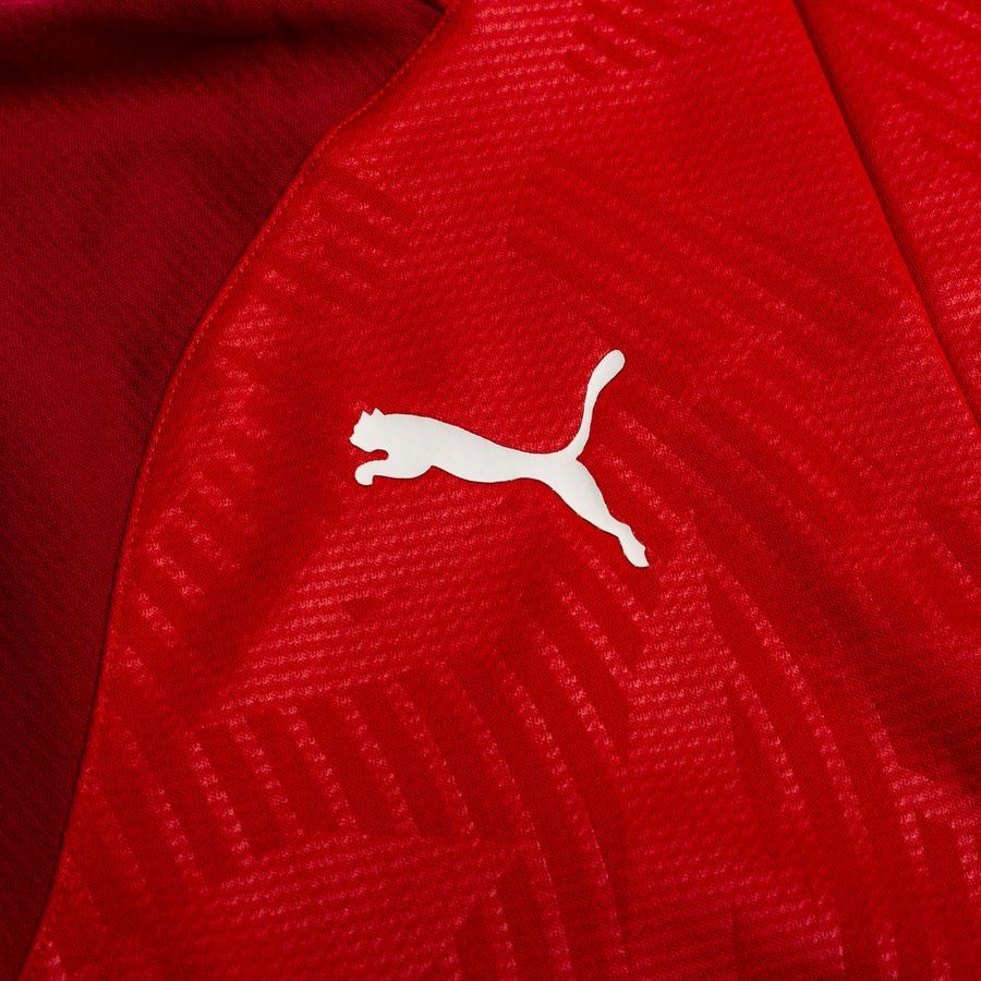 PUMA Maillot d'Entraînement Cup Fermeture Éclair 1/4 Core - Rouge/Rouge