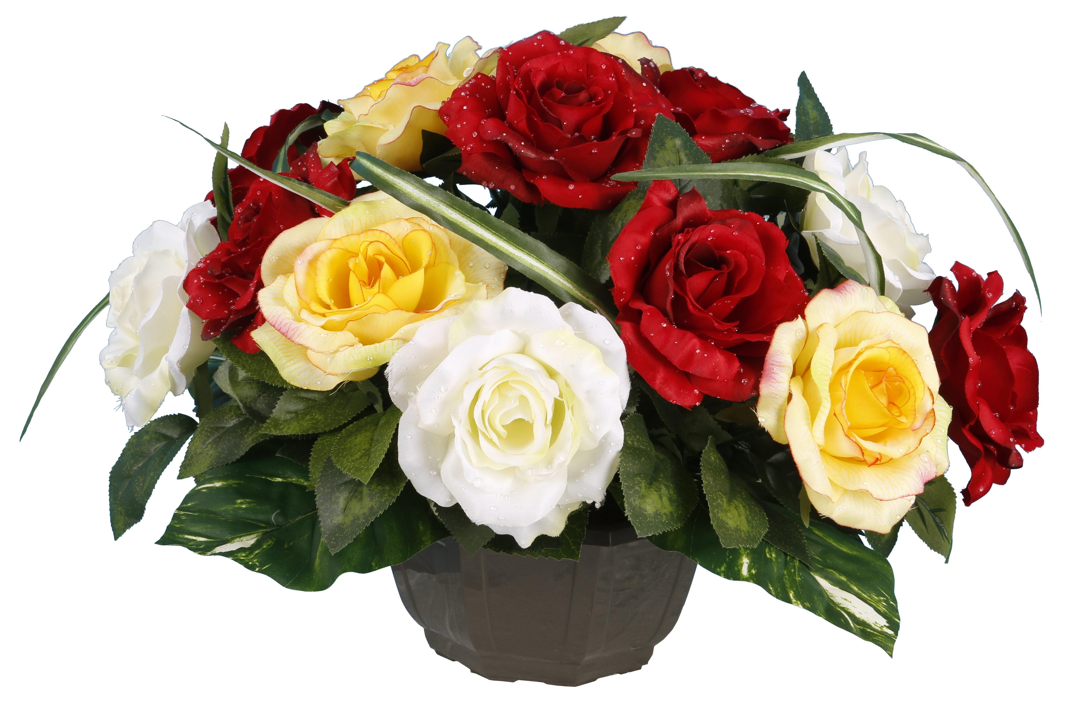 COUPE ROSE GOUTTES EAU