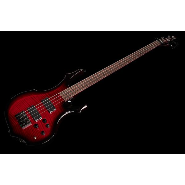 ESP LTD F-1004