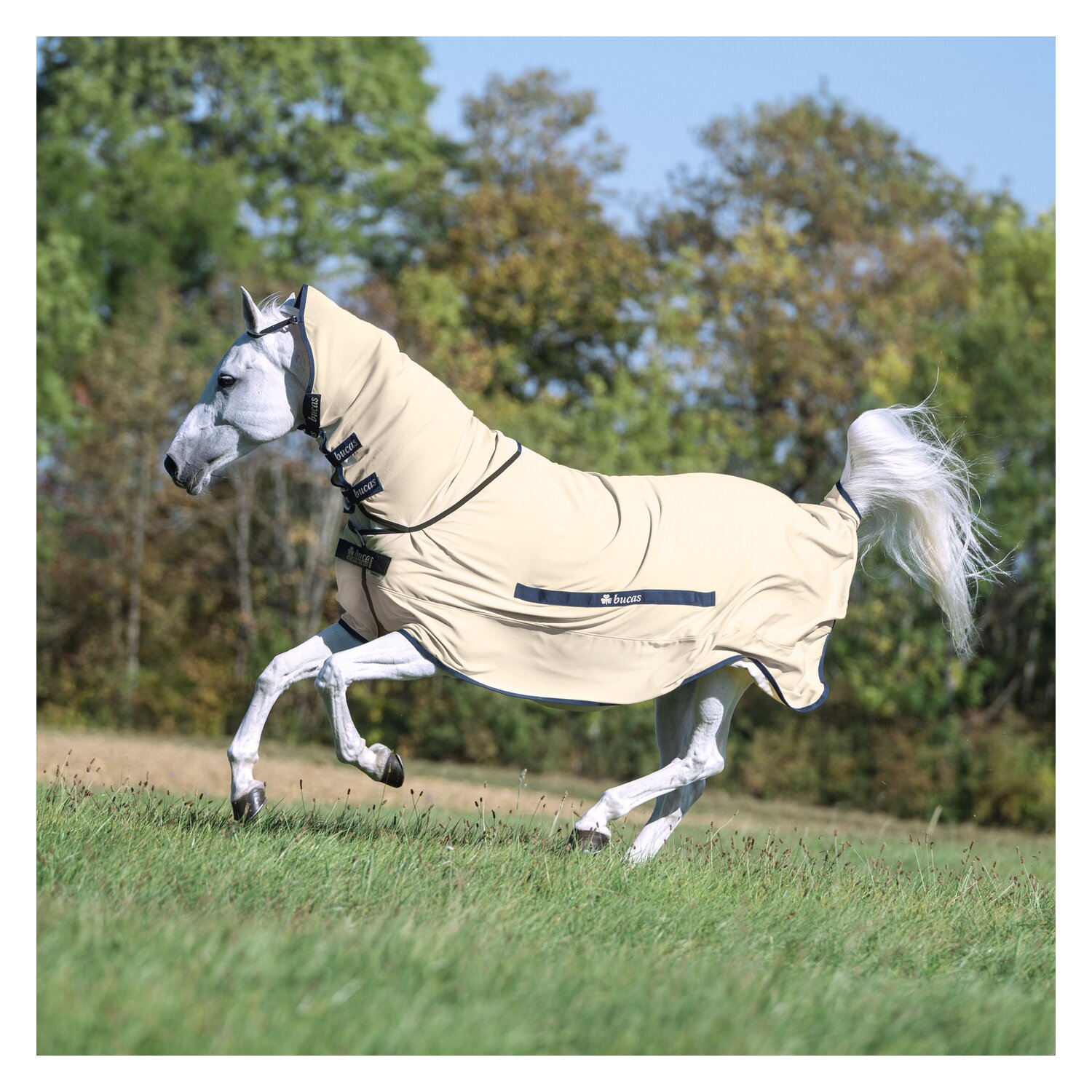 Bucas x Cheval de Luxe Ekzemerdecke  - ecru