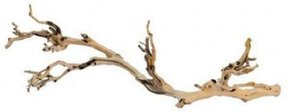 Branche de vigne sable reptiles petit