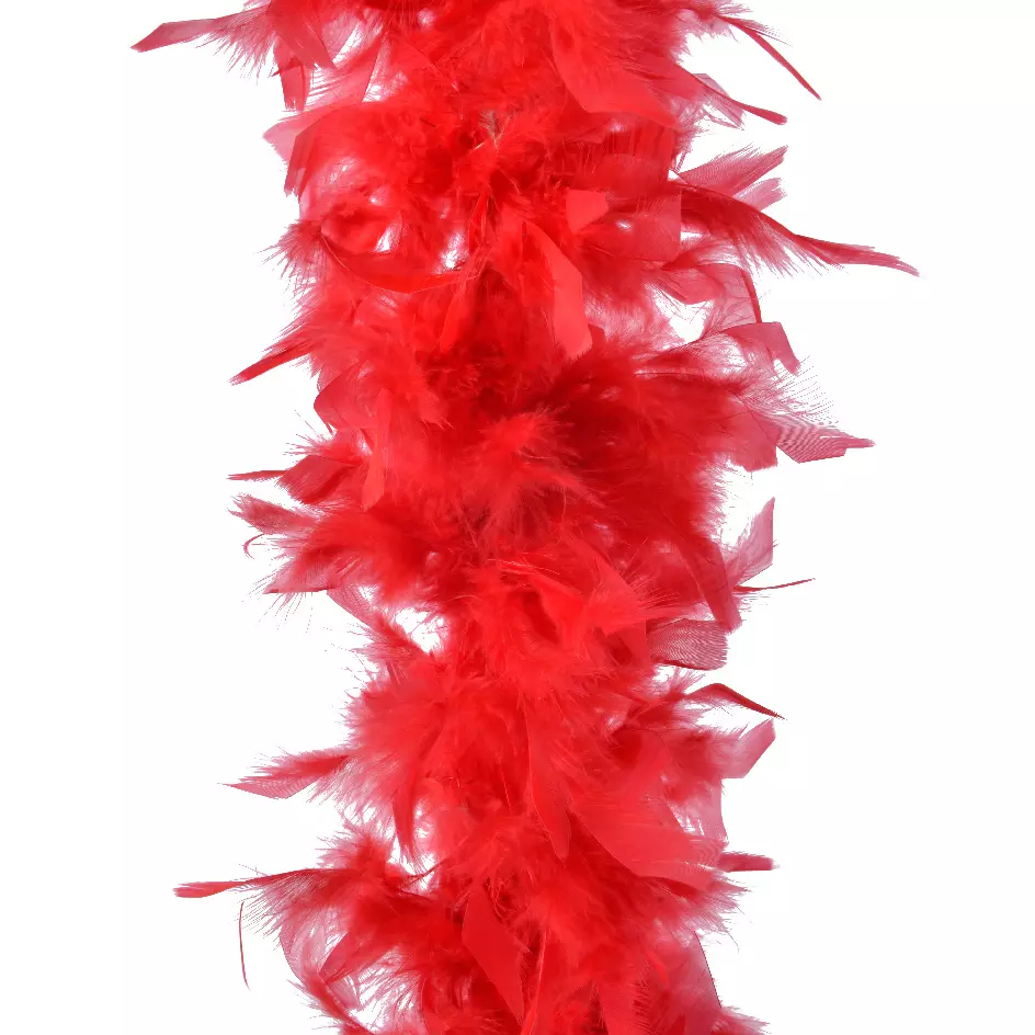 Guirlande Boa en plumes (184 cm) Deluxe Rouge