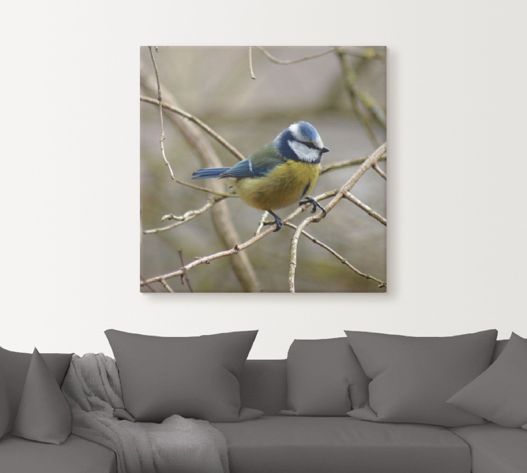 Artland Wandbild »Blaumeise« Vögel 1 Stk. tlg. als Leinwandbild, Wandaufkleber in verschied. Grössen