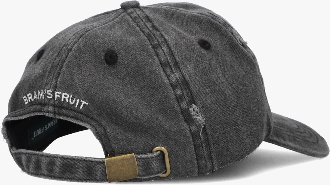 grijze bram's fruit pet f*ck off cap distressed
