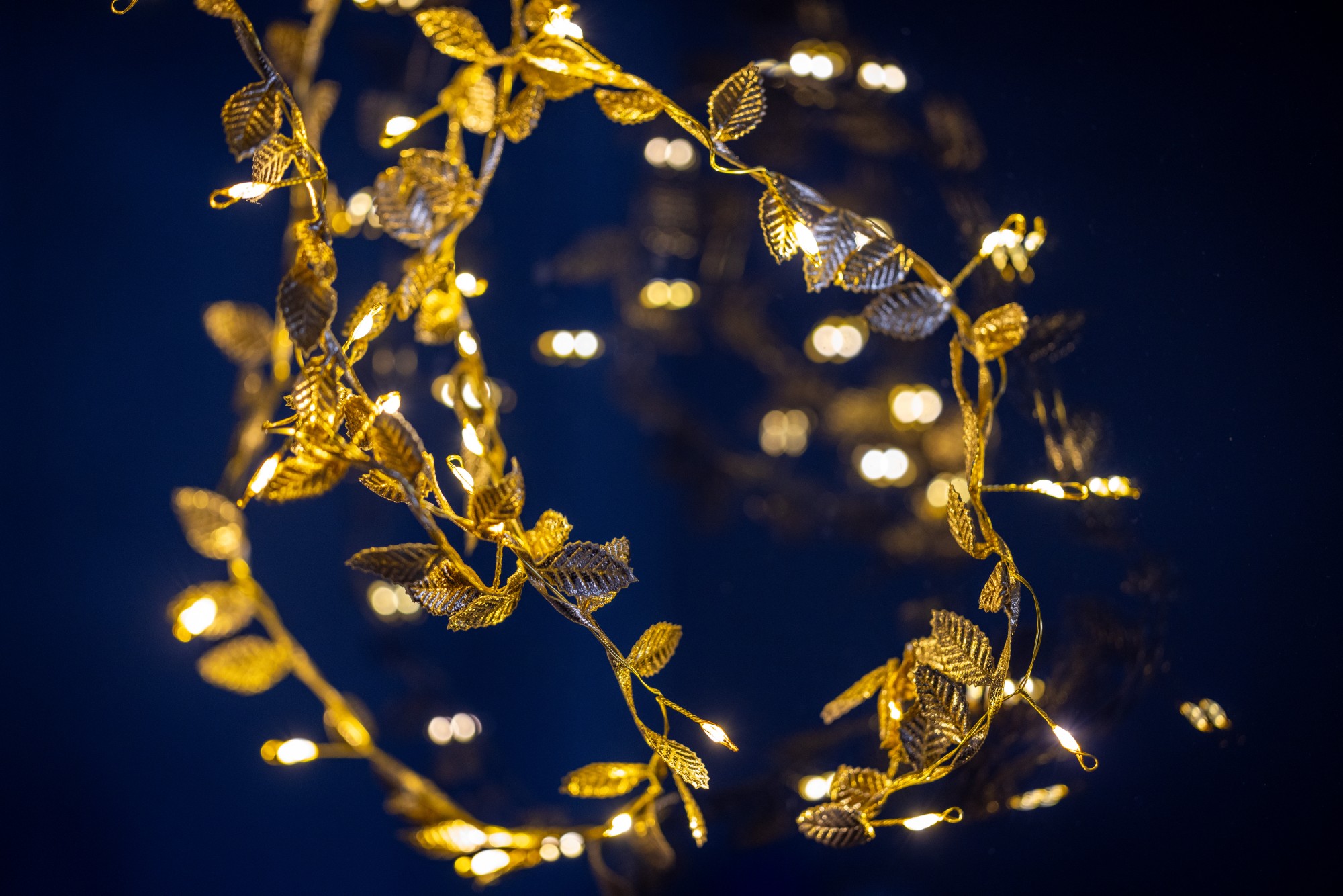 Lichterkette 'Leaves' gold 2 m, batteriebetrieben von fischer's lagerhaus