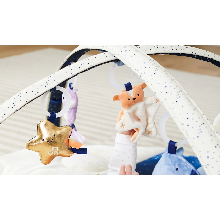 Skip Hop Celestrian Dreams Spielbogen