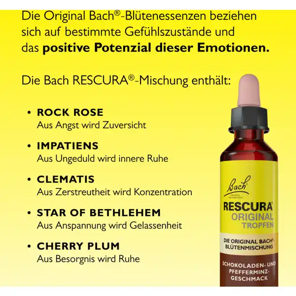 Bachblüten Schokolade-Pfefferminz Tropfen alkoholfrei