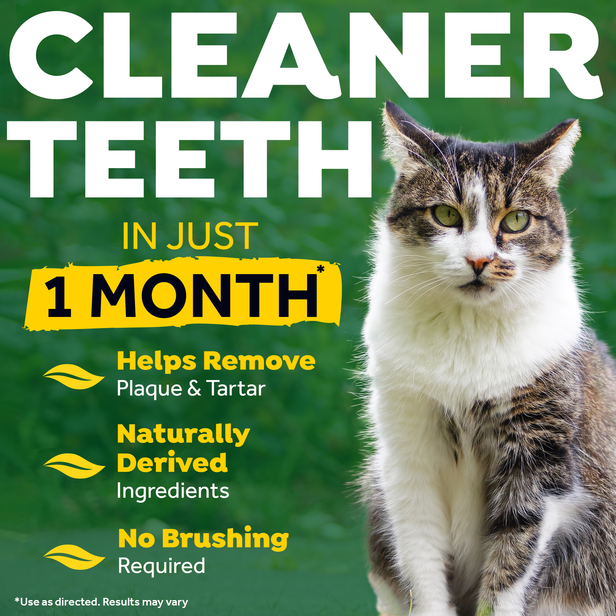 TropiClean - Fresh Breath Clean Teeth OralCareGel - Cat