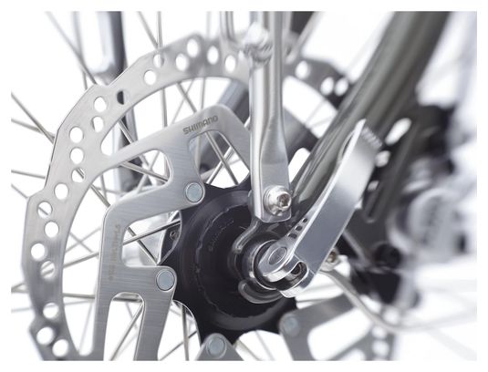 Vélo de Ville Électrique Electra Loft Go! 5i Shimano Nexus 5V 700 mm 250Wh Portobello 2022
