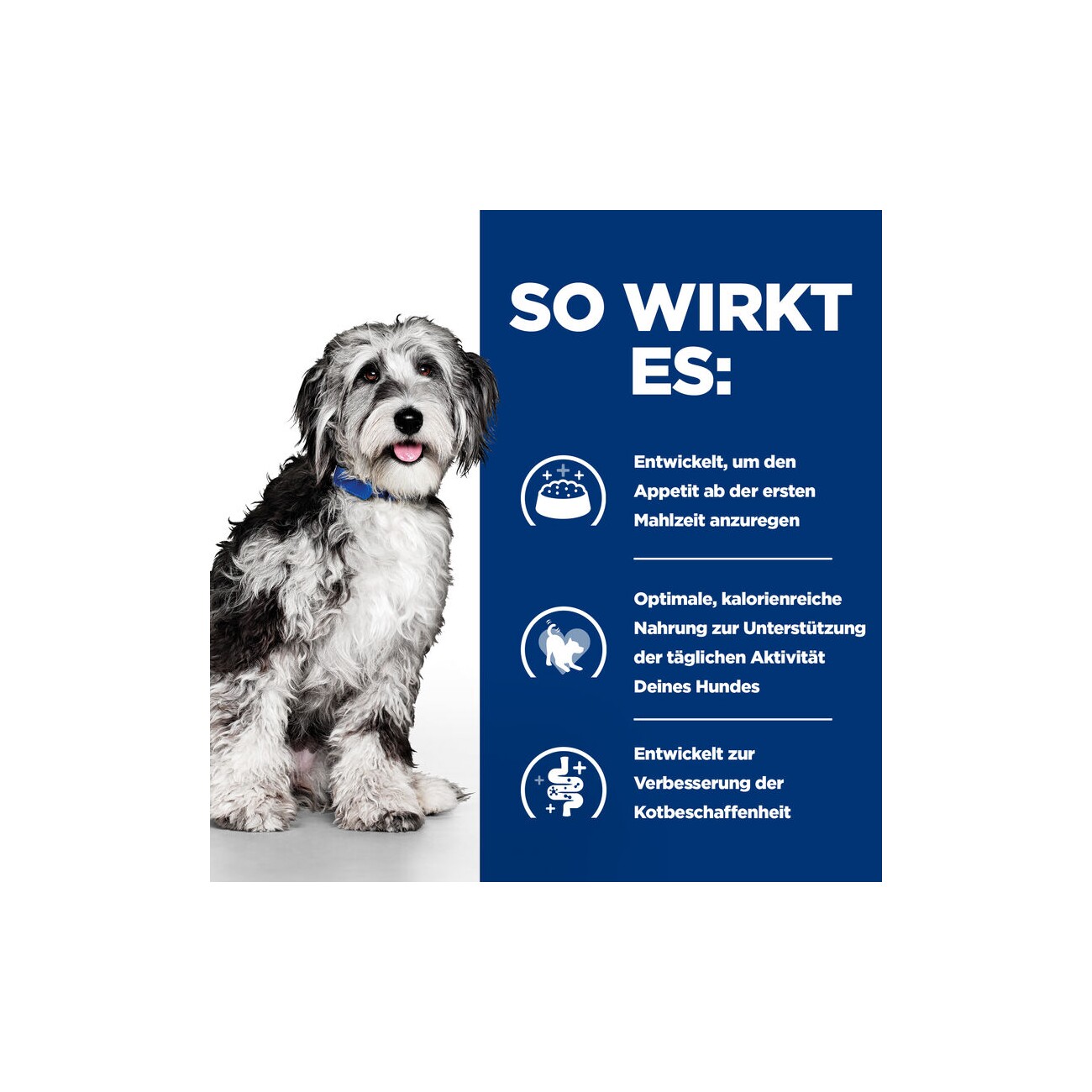 Hill's Prescription Diet ON-Care mit Huhn 4 kg