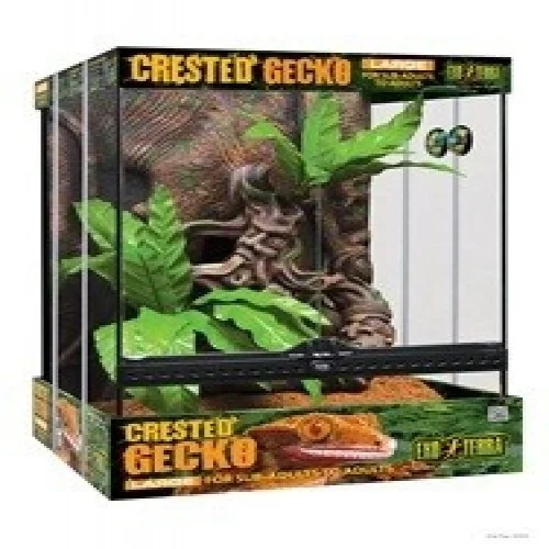 Kit de terrário para gecko-de-crista