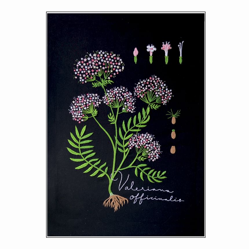 Embroidery Kingdom - DIY-borduurpakket met bloemen (verschillende ontwerpen)