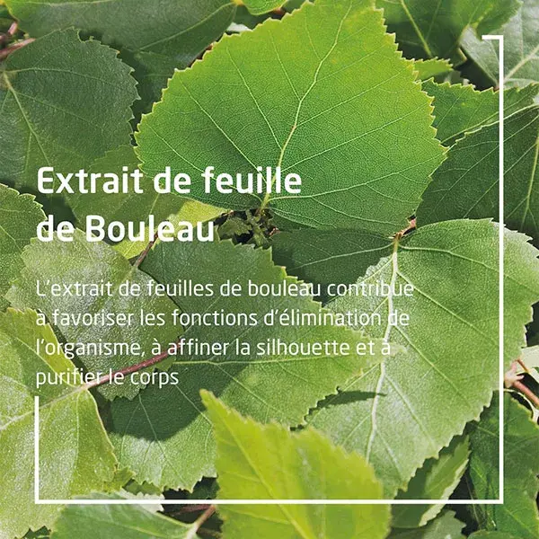 Weleda Bouleau Huile de Massage Minceur 100ml