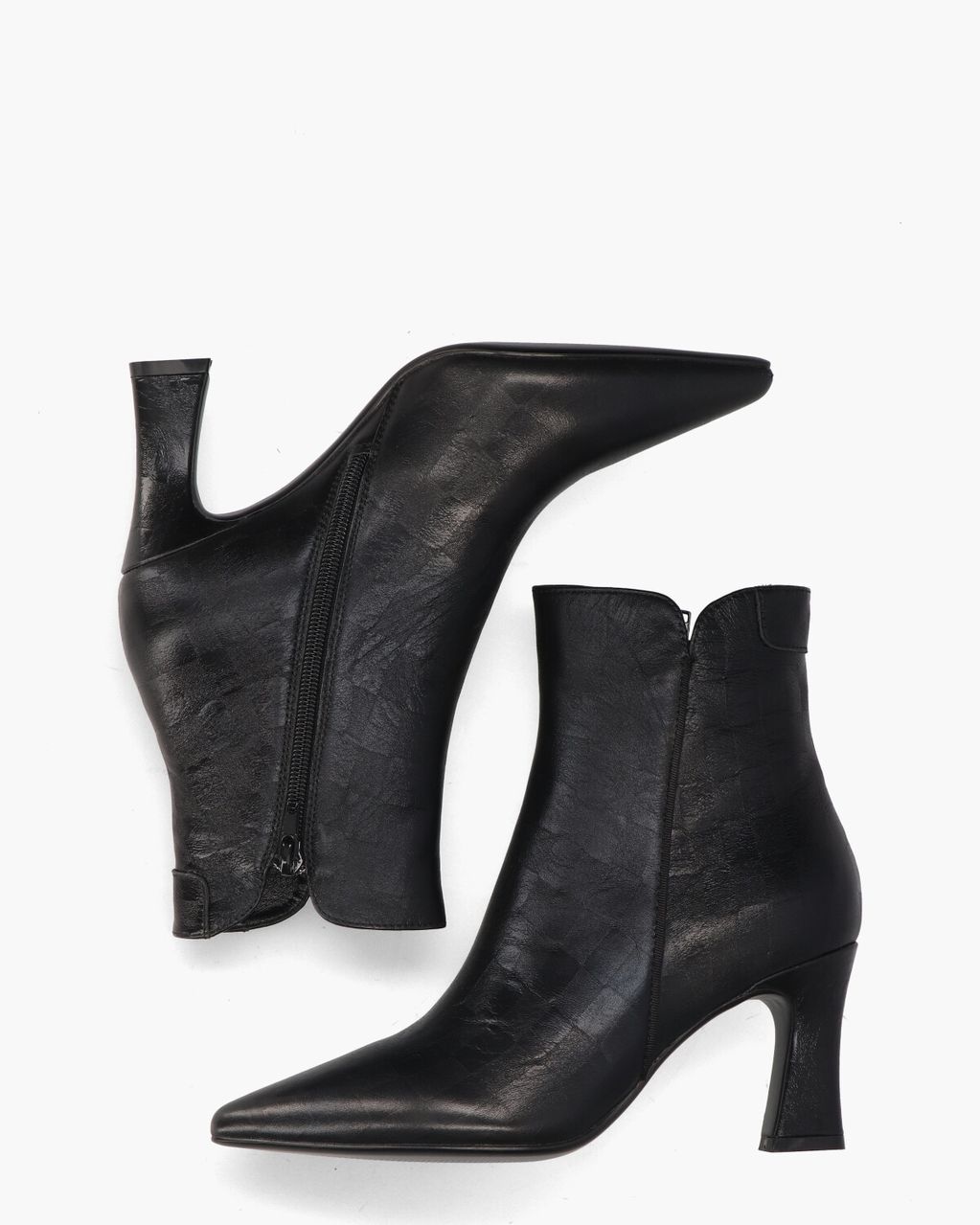 Di Lauro Sterre Zwart Dames Enkelboots