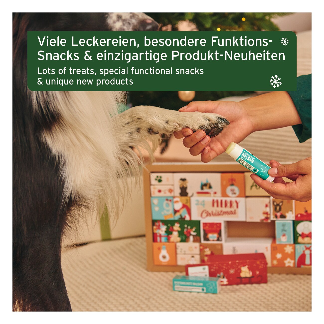 AniForte Premium Adventskalender für Hunde 2025