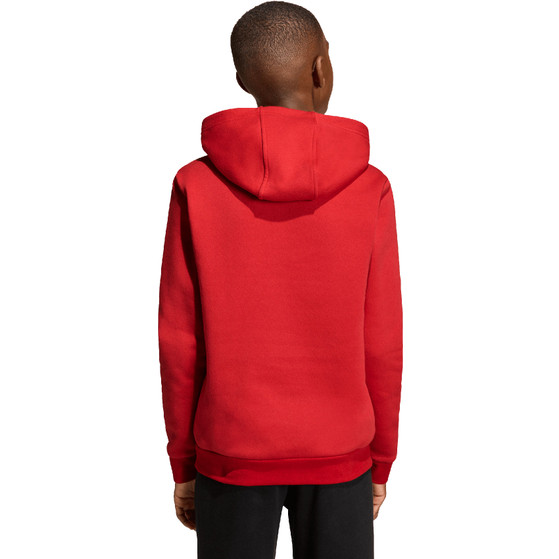 adidas Entrada 26 Sweat Hoody Kids