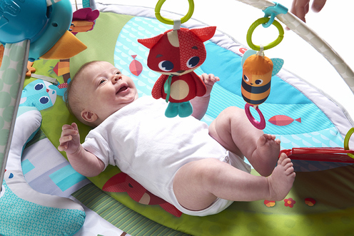 Tapis d'éveil GYMINI Dynamic - Dans la Prairie - TINY LOVE