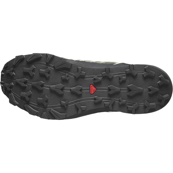 Chaussure trail SALOMON THUNDERCROSS GTX