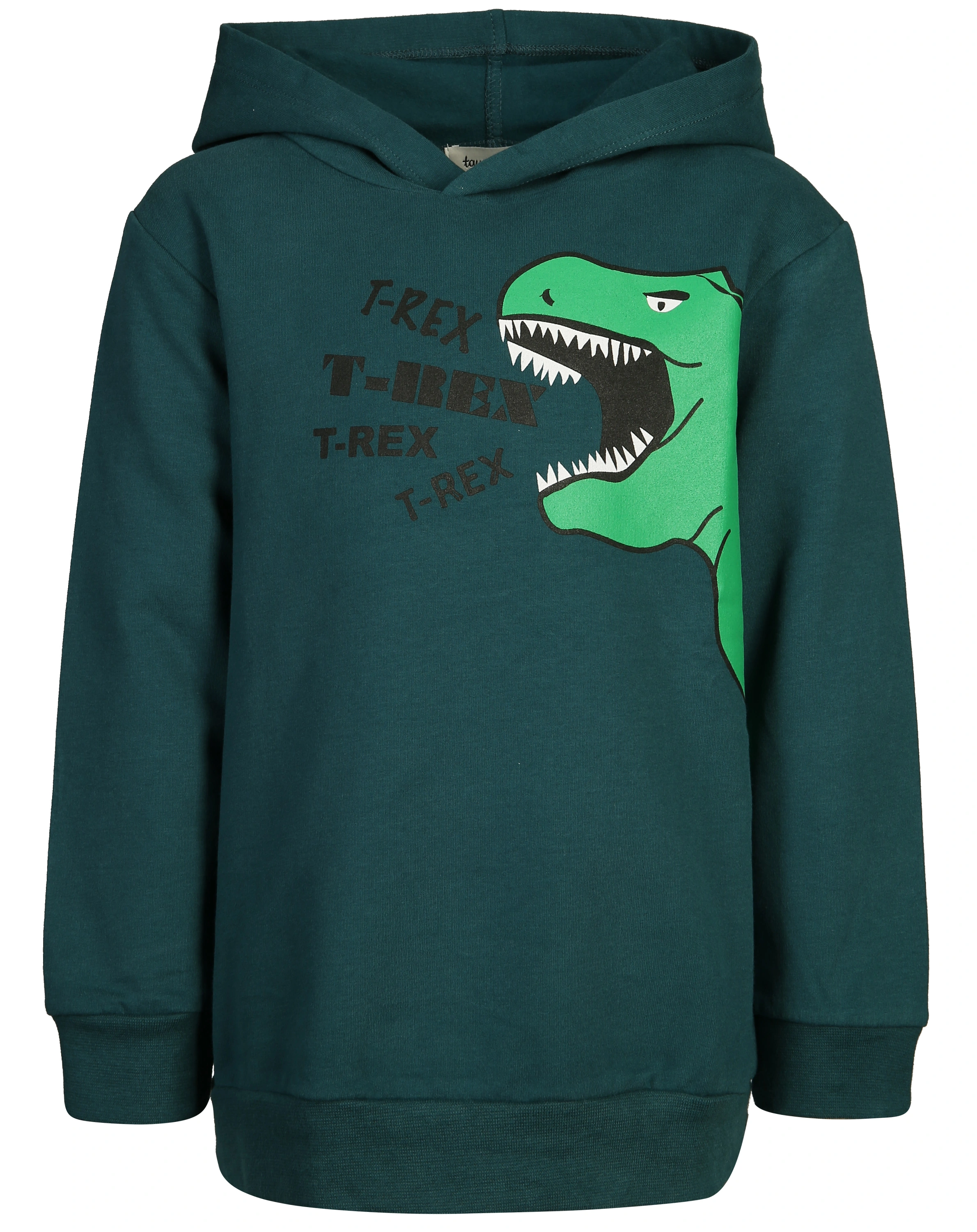 Kapuzen-Sweatshirt T-REX in dunkelgrün