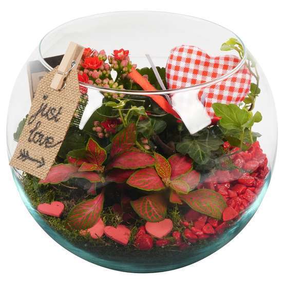 Terrarium St Valentin, rouge