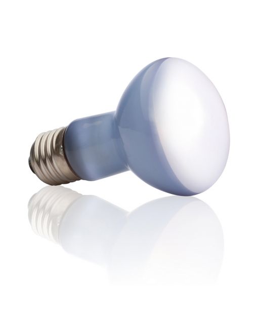 Exo Terra Daylight Basking Spot - Verlichting