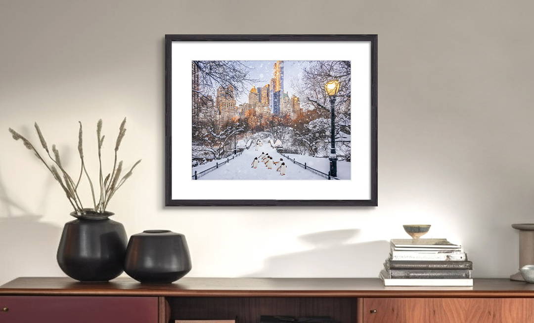 Central Park Penguins by Robert Jahns - Darlings - Small Limited Edition. 30x40.