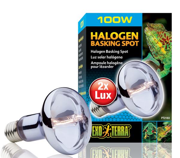 Exo Terra® Halogen Basking Spot
